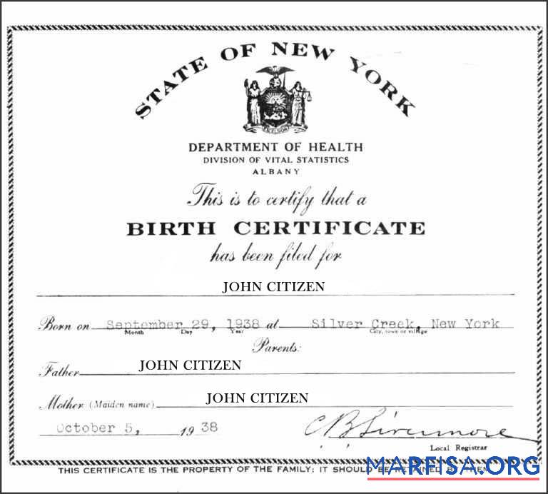 Realistic New York Department of Health Division of Vital Statistics birth certificate real example